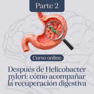 Helicobacter pylori. Parte 2. Después de Helicobacter pylori: cómo acompañar la recuperación digestiva